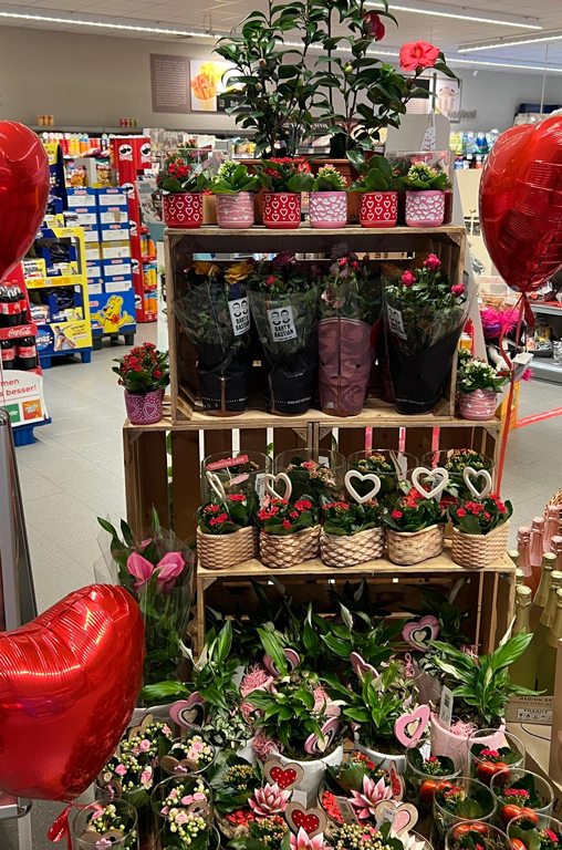 Blumen zum Valentinstag bei EDEKA Deckenbach, Obertshausen