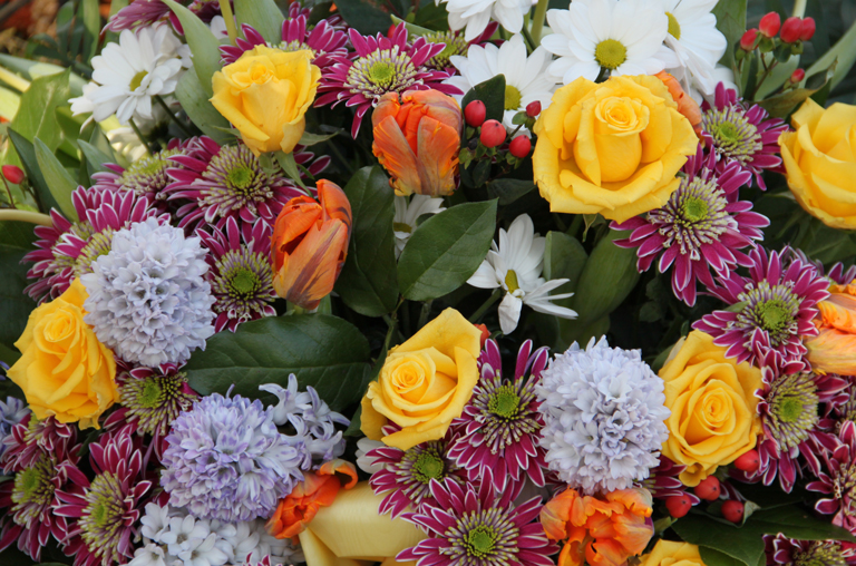 Verschiedene frühlingshafte Schnittblumen