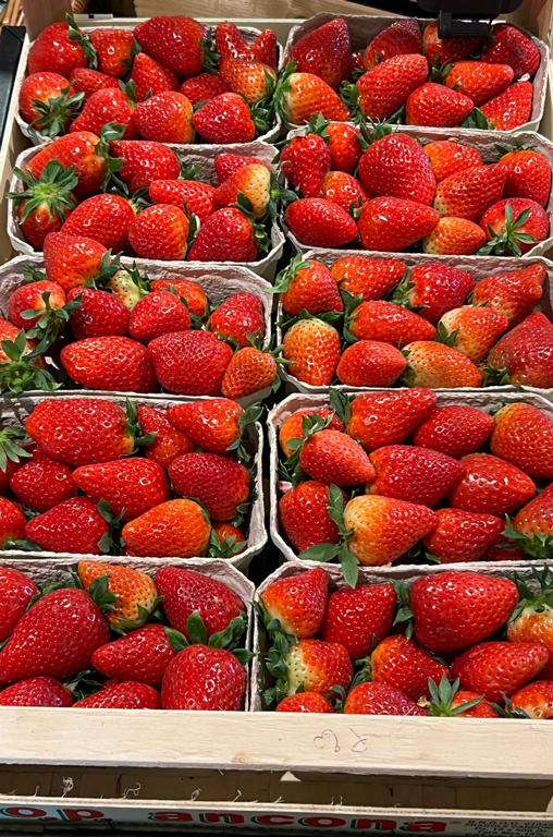 Frische Erdbeeren aus deutschem Anbau