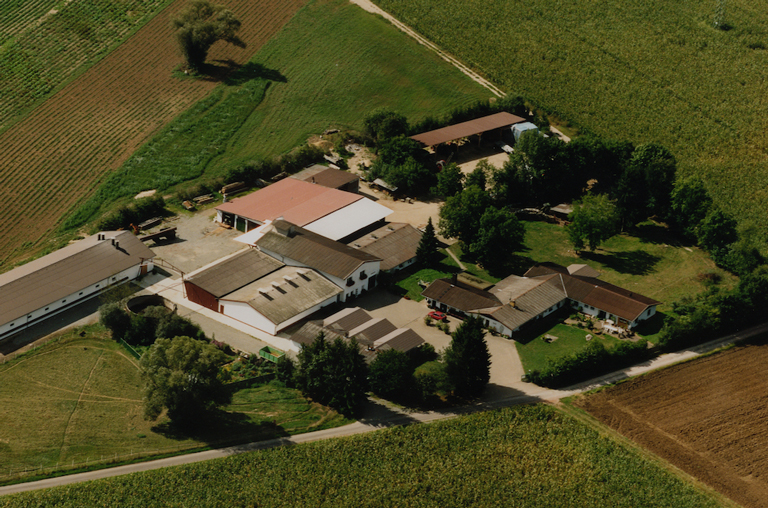 Luftbild des Auhofes in Stockstadt