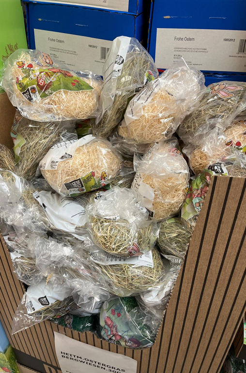 Ostergras zu Ostern