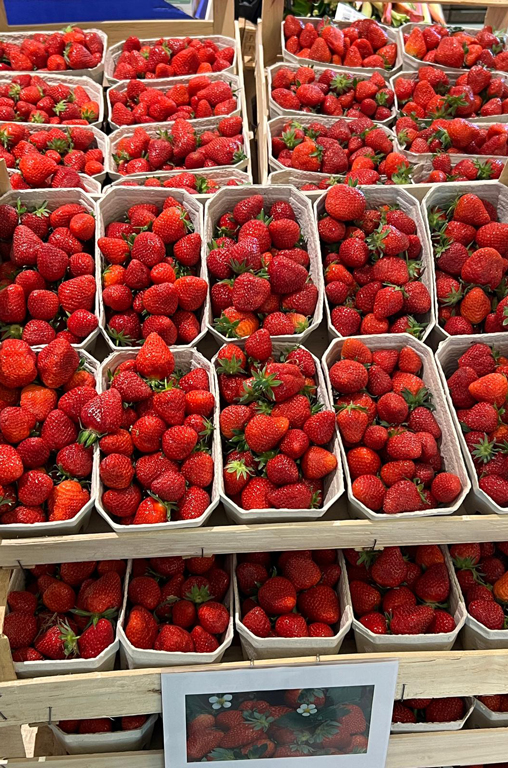 Abbildungen von regionalen Erdbeeren in Schalen