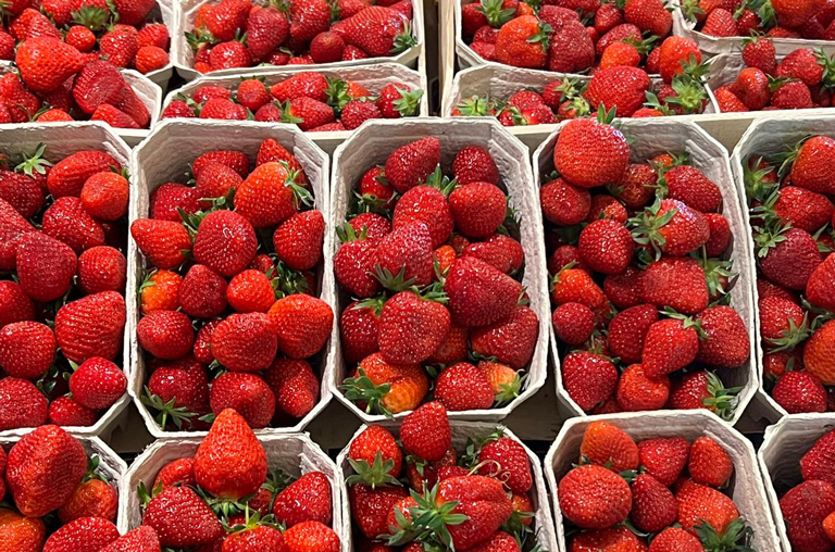 Abbildungen von regionalen Erdbeeren in Schalen