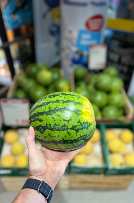 Mini-Wassermelone
