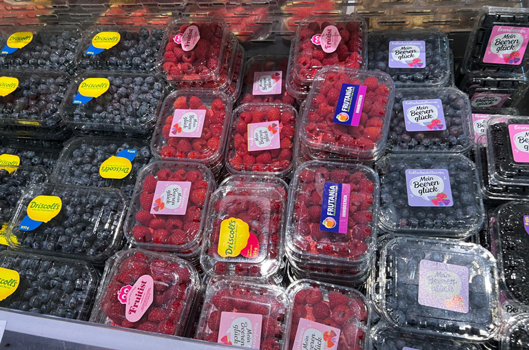 Himbeeren und Blaubeeren