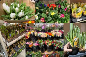 Collage Frühlingsblumen