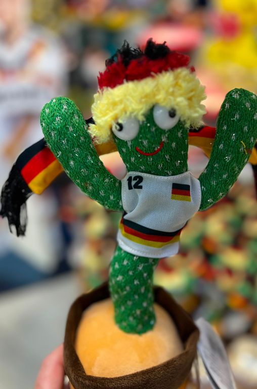 WM-Fieber
