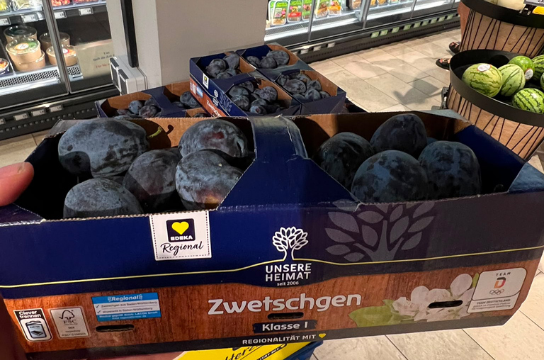 Zwetschgen und Aprikosen