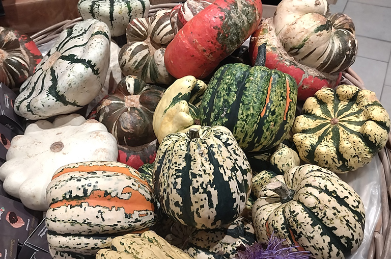 Schätze des Herbstes